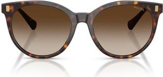 Ralph Lauren 55mm Gradient Phantos Sunglasses in Shiny Dark Havana /Brown at Nordstrom
