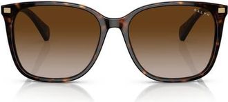 Ralph Lauren 56mm Gradient Square Sunglasses in Shiny Dark Havana /Brown at Nordstrom