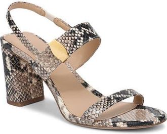 Veronica Beard Genetta Slingback Sandal in Ecru Multi at Nordstrom, Size 10