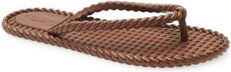 Arezzo Jelly Flip Flop in Dark Brown at Nordstrom, Size X-Large