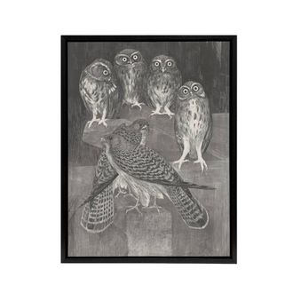 Artery8 Four Owls & Two Kestrels Framed Canvas Wall Art Print van Hoytema in Grey | Size: W24 x H32