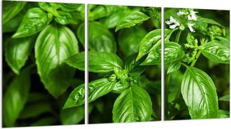 OEM Placa Protectora De Vidrio Para Estufa 3x30x52