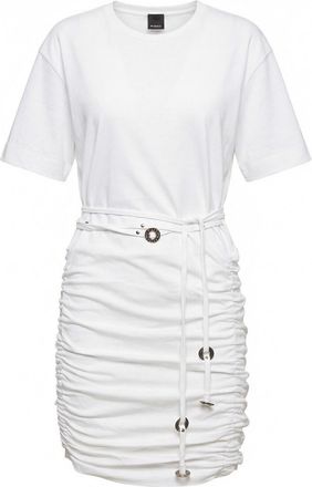 Pinko Anguillara Dress