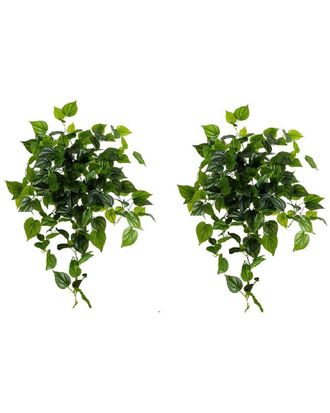 Nearly Natural Set Of 2 Indoor/Outdoor Uv-Resistant Artificial Philodendron Hanging Plants