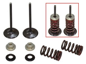 OEM V&aacute;lvulas De Admisi&oacute;n Psychic (juego De V&aacute;lvulas Con Resortes Y Arandelas) Suzuki Rmz 250 10-15 Acero (mx-09531i) (31x4,48x80,2mm)