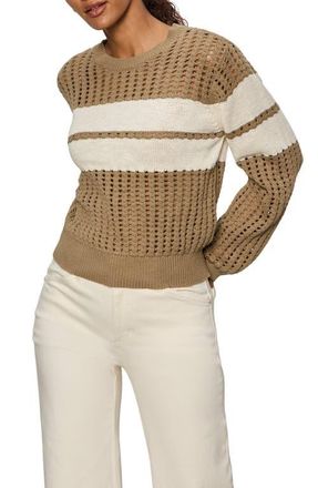 Sanctuary Open Stitch Cotton Sweater in Covert Green at Nordstrom, Size Xx-Large P