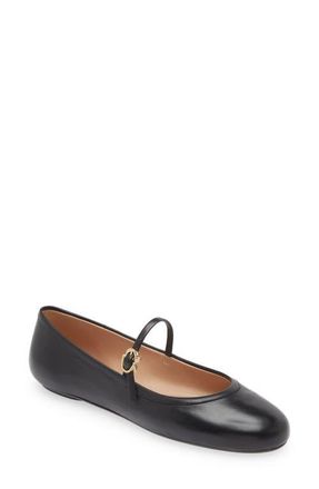 Gianvito Rossi Carla Ballerina in Black at Nordstrom, Size 38.5
