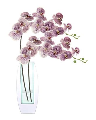 Creative Displays Inc. Modern Orchid Arrangement In Mirrored Glass Vase