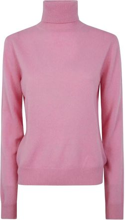 Absolut Cashmere Themys High Neck Sweater
