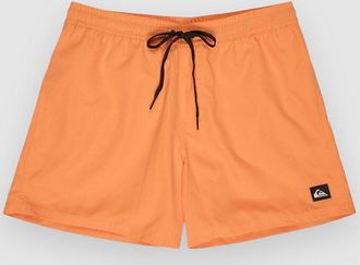 Quiksilver Everyday Solid Volley 15 Boardshorts oranje
