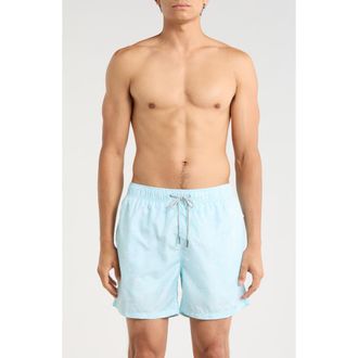 Vintage Summer Swimwear Ponji Printed Volley Swim Shorts in Mint at Nordstrom Rack, Size Xx-Large