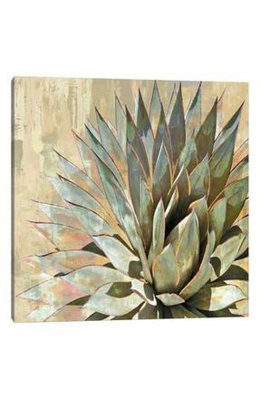 iCanvas Succulent I by Lindsay Benson Canvas Wall Art in Green Flora at Nordstrom Rack, Size 12X12