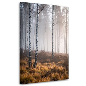 Feeby Cuadro En Lienzo, Bosque De Abedules En La Niebla Paisaje Naturaleza, 70x100