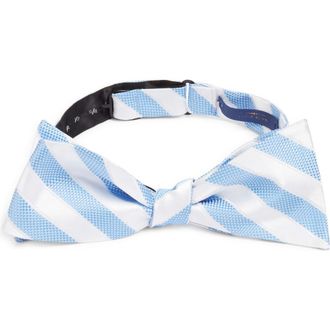 Clifton Wilson Stripe Silk Bow Tie in Blue at Nordstrom