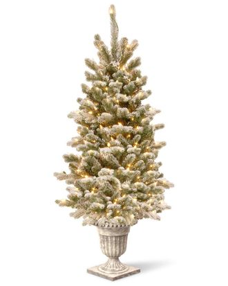 National Tree Company 4Ft Snowy Sheffield Spruce Entrance Tree With Twinkly Led Lights