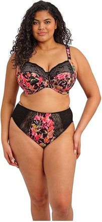 Elomi Morgan Underwire Full Cup Bra with Stretch Lace Womens Bra Hot House : 40E (US 40DDD), Lace/Mesh/Nylon