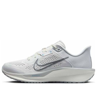 Nike (WMNS) Nike Quest 6 Photon Dust Light Smoke Grey FD6034-007