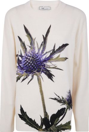 Blumarine Thistle Print Knit Round Neck Sweater