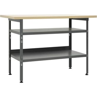 vidaXL Vidaxl - Banco da Lavoro Grigio 120x60x85 cm in Acciaio