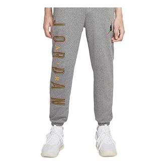 Nike Jordan Air Jordan Sport DNA Knit Long Pants Gray CZ5469-091