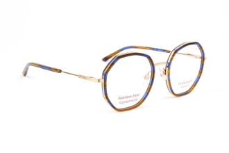 Ana Hickmann Optical Frame HIY1007 E01 49