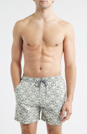 Boardies Seashell Print Swim Trunks in Olive/Cream at Nordstrom, Size Medium