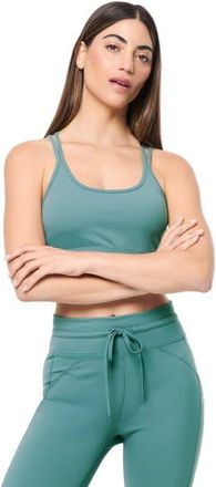 Sergio Tacchini Silvia Sports Bra in Duck Green at Nordstrom, Size Xx-Large