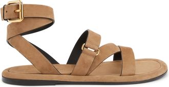 Giuseppe Zanotti Aymon