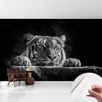 Tulup Carta Da Parati Adesiva - Lavabile - Decorazione Murale - Per Cucina - Pellicola Decorativa Sguardo Predatorio 416x254 Cm