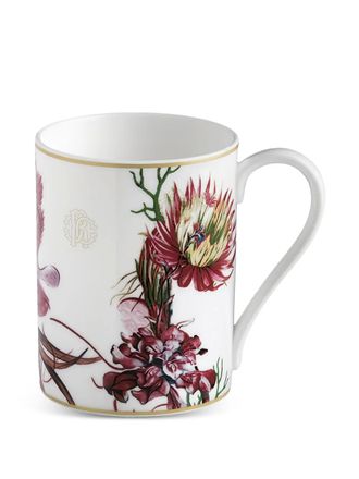 Roberto Cavalli floral-print teacup - unisex - Porcelain - One Size - White