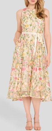 Tahari by ASL Embroidered Sleeveless Midi Dress in Buttercup Multi at Nordstrom, Size 12