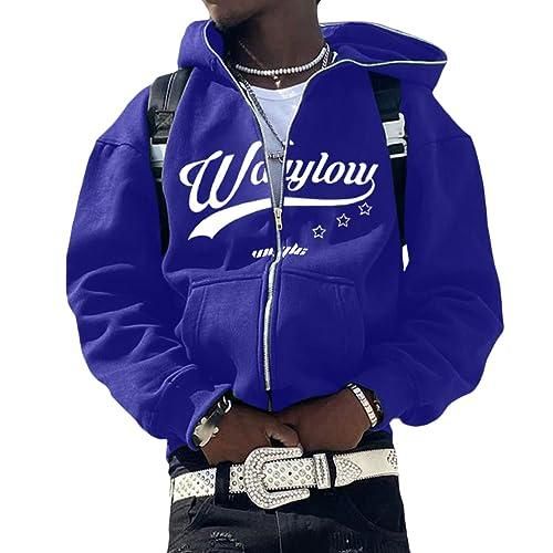 Sweat à Capuche Zippé Surdimensionné Homme Style Gothique Années 90 - Veste Polaire Baggy Streetwear - Couleur Selon Image