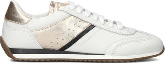 Stefano Lauran Schoenen, Dames, Wit, 39 EU, Leer, Witte lage sneakers voor dames
