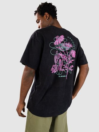 Quiksilver Hw Desert Paradise T-Shirt schwarz