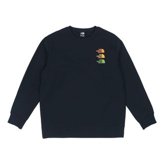 The North Face Logo Grpahic Sweater Black NF0A7W88-JK3