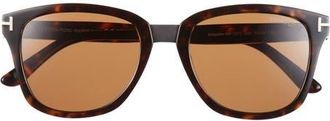 Tom Ford 53mm Square Sunglasses in Dark Havana /Brown at Nordstrom