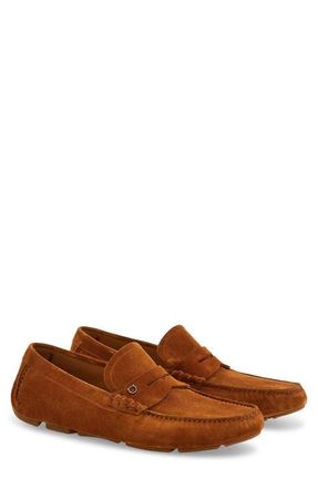 Ferragamo Timothy Driving Loafer in Naturale New Biscotto at Nordstrom, Size 10.5