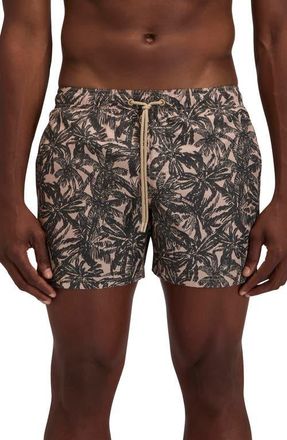 Sundek Print Swim Trunks in Safari at Nordstrom, Size X-Large