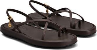 Tod's Charm Toe Loop Sandal in Palissandro at Nordstrom, Size 10.5Us