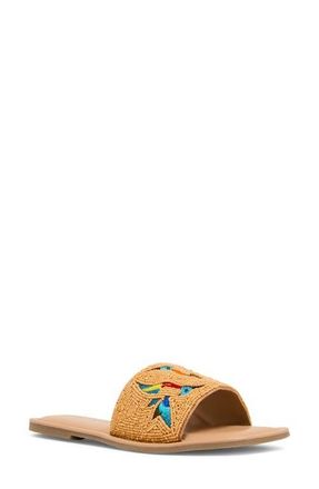 Anne Klein Brianne Slide Sandal in Natural Multi at Nordstrom, Size 6.5