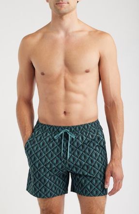 Fair Harbor The Bungalow Sun Print Water Repellent Swim Trunks in Seapine Suns at Nordstrom, Size Xx-Large
