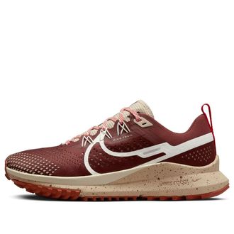 Nike (WMNS) Nike Pegasus Trail 4 Dark Pony DJ6159-200