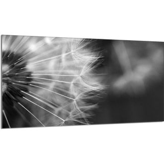 OEM Placa De Protecci&oacute;n De Estufa De Vidrio 90x52 Flor