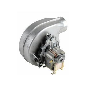 DIFF Eyewear Diff - Ventilatore 5546097630 1v Mvl Rlg108