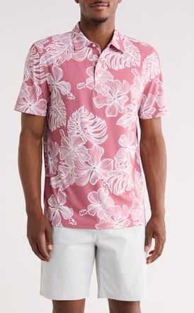 Reyn Spooner Muana Monstera Polo in Faded Ginger at Nordstrom Rack, Size X-Small