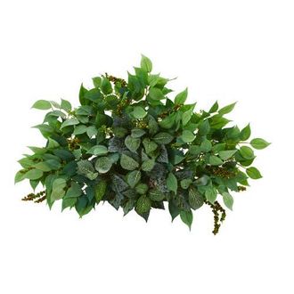 Nearly Natural 20-in Mixed Ficus and Fittonia Artificial Ledge Plant in Green at Nordstrom