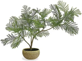 Frontgate Indoor/Outdoor Tabletop Fern - Frontgate