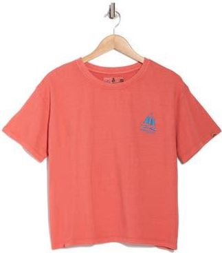 C&C California Toni Boxy Cotton Crop Tee in Cranberry at Nordstrom Rack, Size X-Large