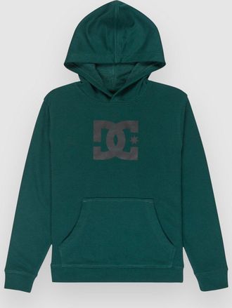 DC Star Kids Hoodie groen