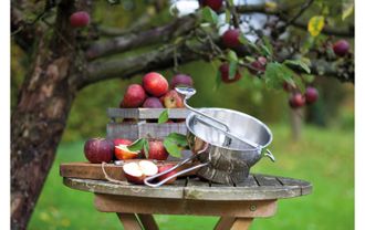 GEFU Passiersieb »20 cm«